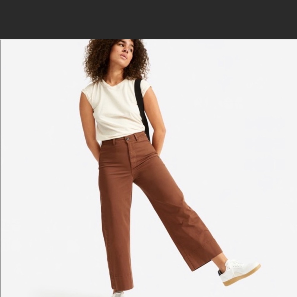 Everlane Lightweight Wide Leg Crop Chino